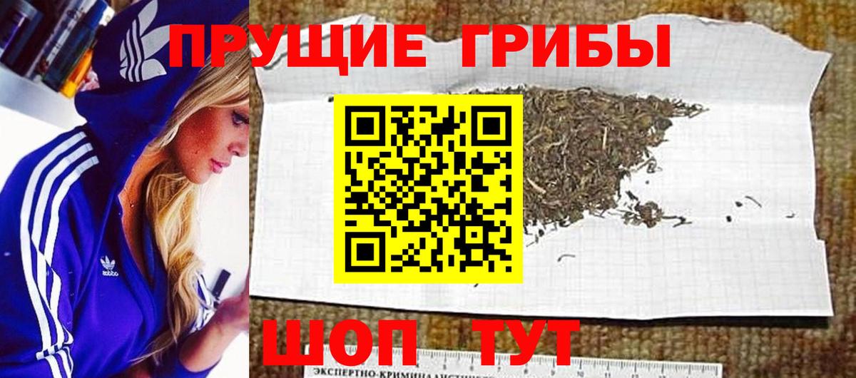 Кандалакша  Псилоцибиновые грибы мухоморы  Вход с VPN 